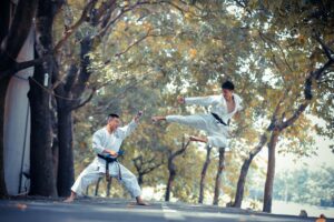 taekwondo-sport-combat-coree