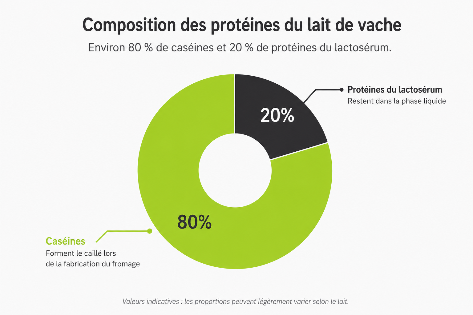composition-proteines-lait-de-vache