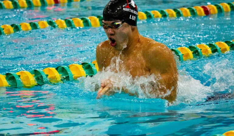 natation brasse 1km calories
