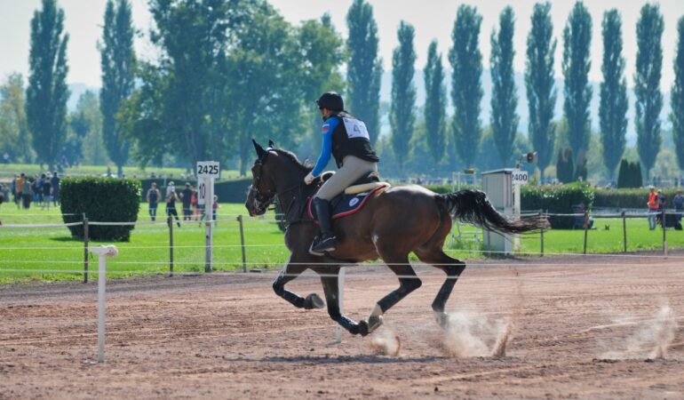 records-equitation